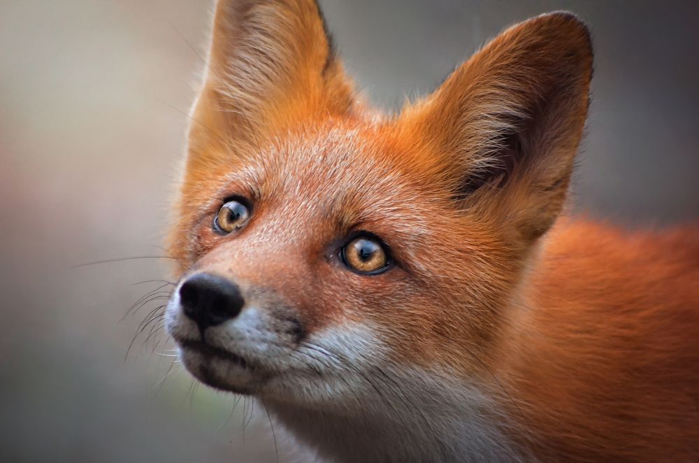 Photograph by Вероника Ливанова