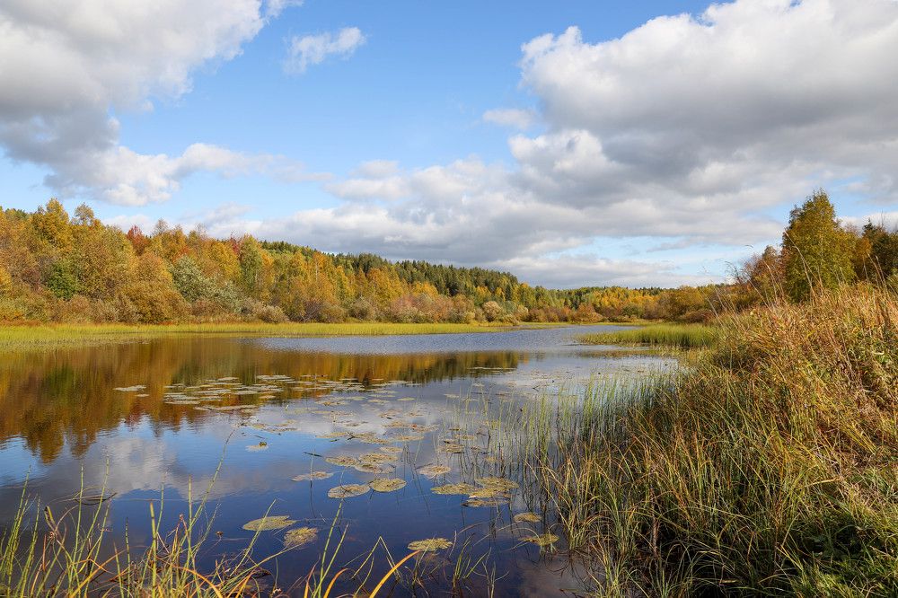 Photograph by Александр Трифанов