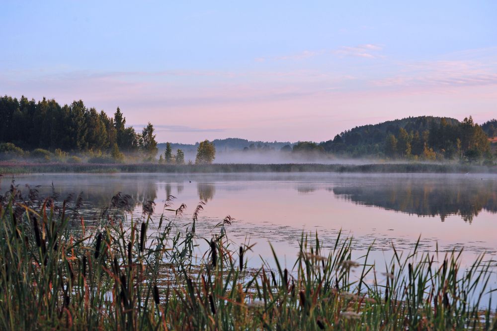 Photograph by Юрий Яковлев