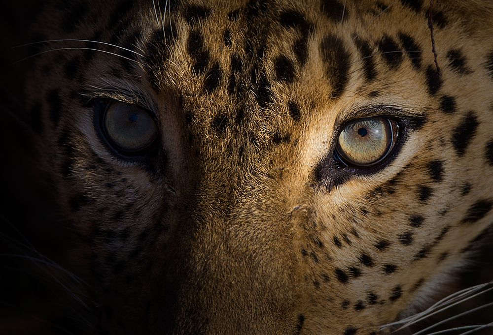 Photograph by Александр Чазов