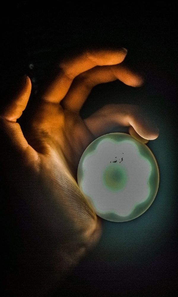 Photograph by Владлен Ряков