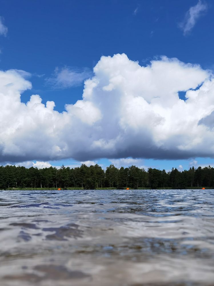 Фотография автора Tatiana Kots