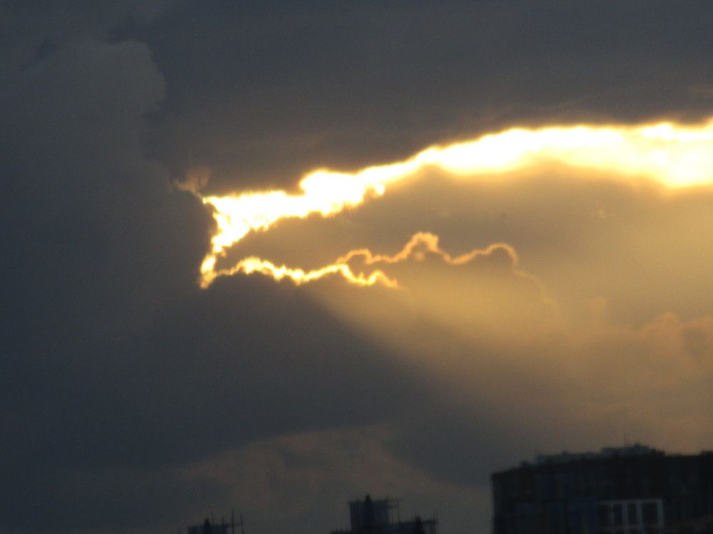 Photo #8391548