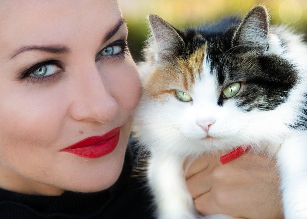 Photograph by Дарья Ромова