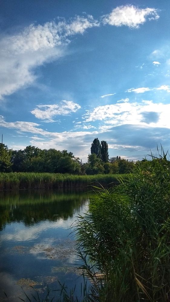 Photograph by Светлана Безъязычная