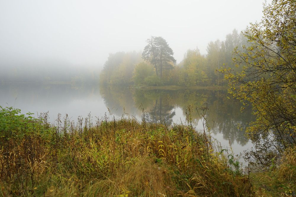 Photograph by Анастасия