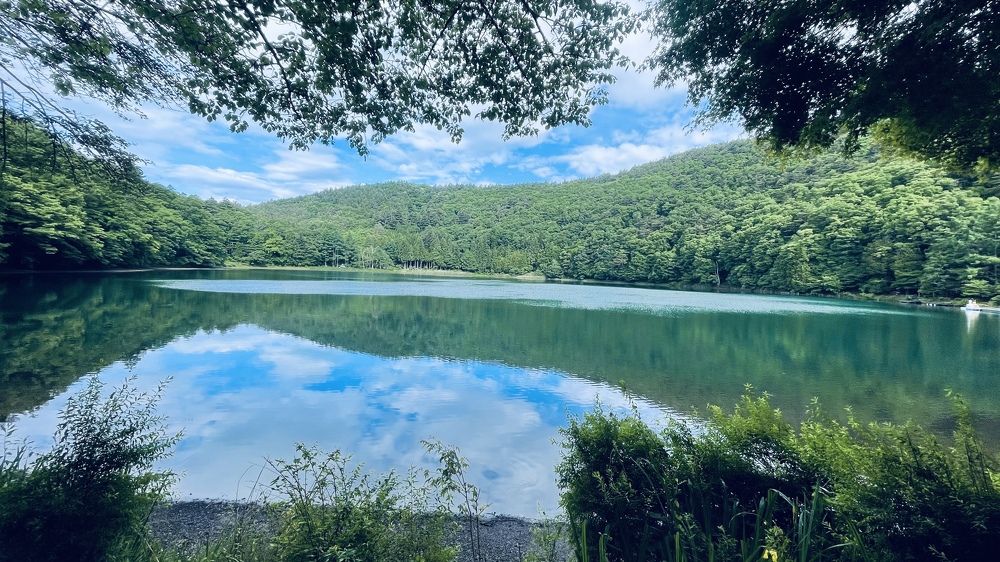 Фотография автора Баштовой Дмитрий