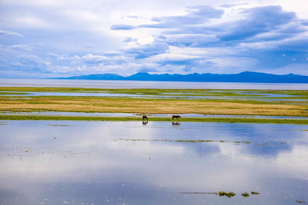 Photograph by Munkh-Erdene Miracle