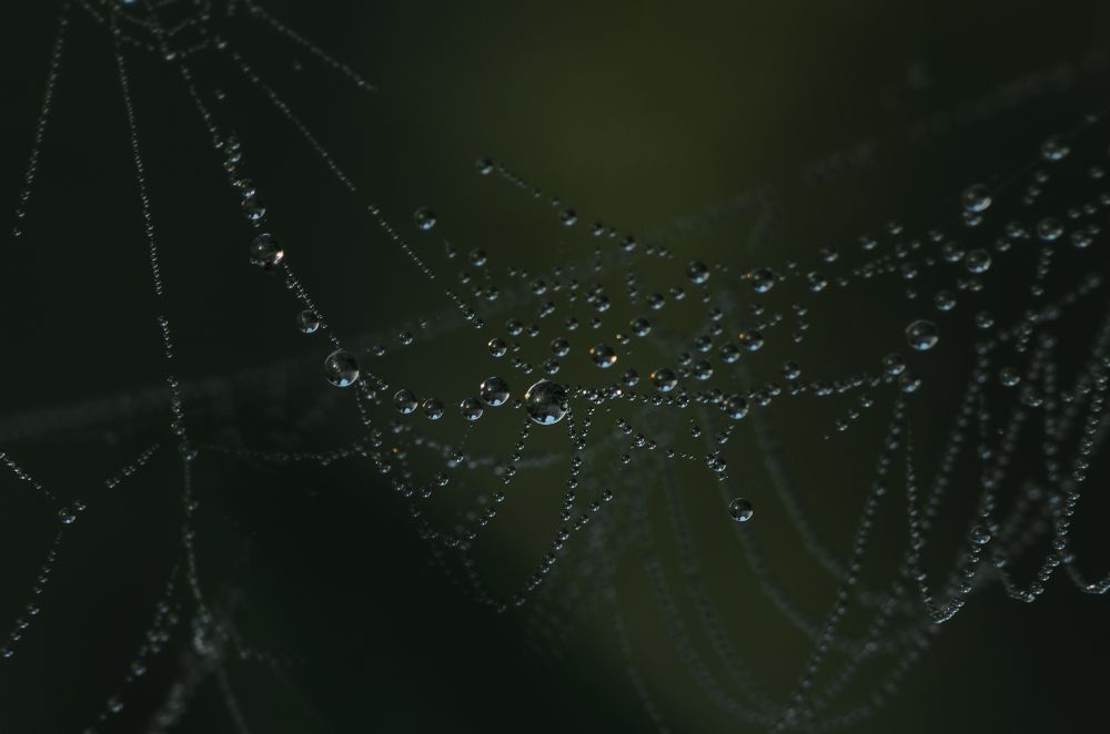 Photograph by Максим Колосов