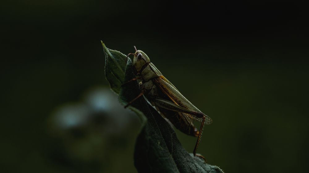 Photograph by Максим Колосов