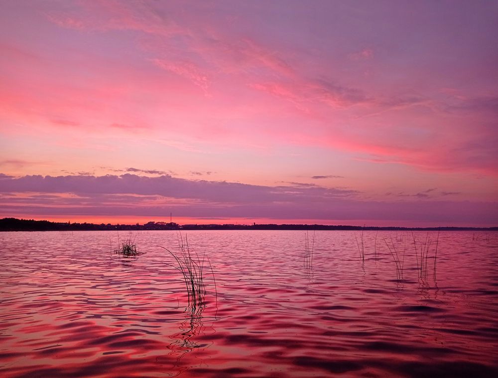 Фотография автора Кухта Мария