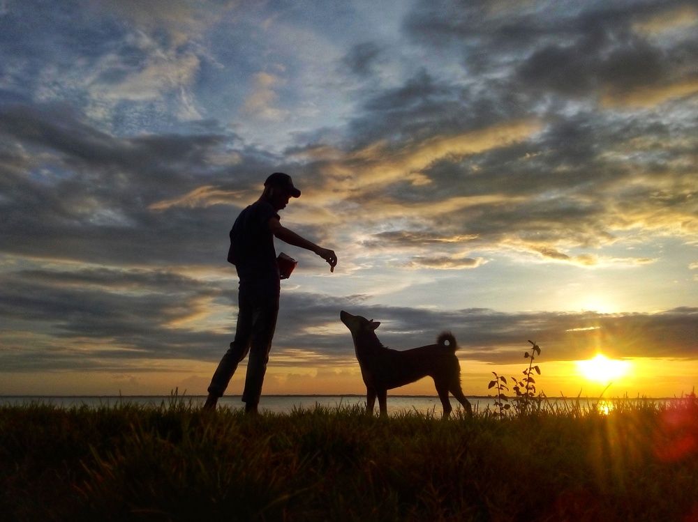 Photograph by Md. Jumen Khan