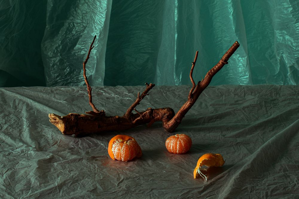 Photograph by Татьяна Носкович