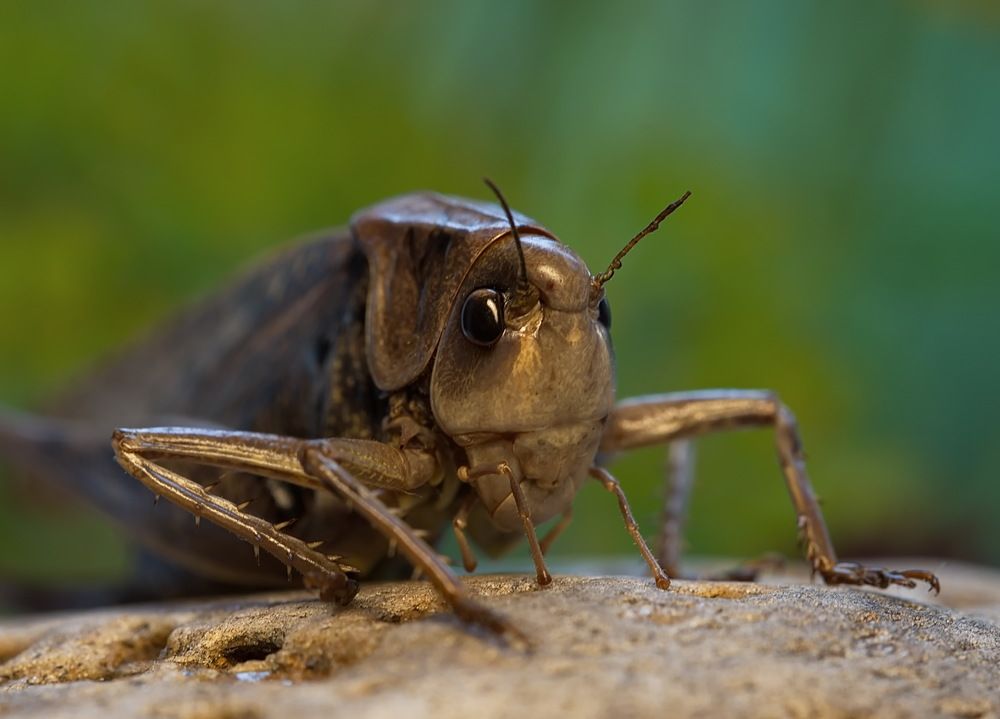 Photograph by Анатолий Васильев