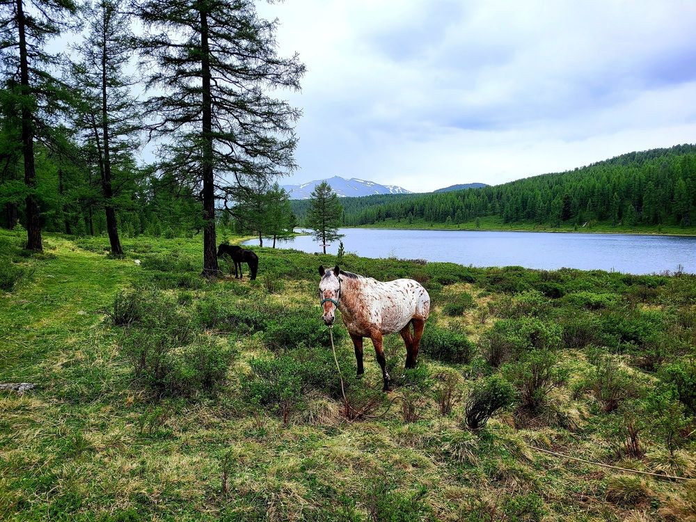 Photograph by Павел