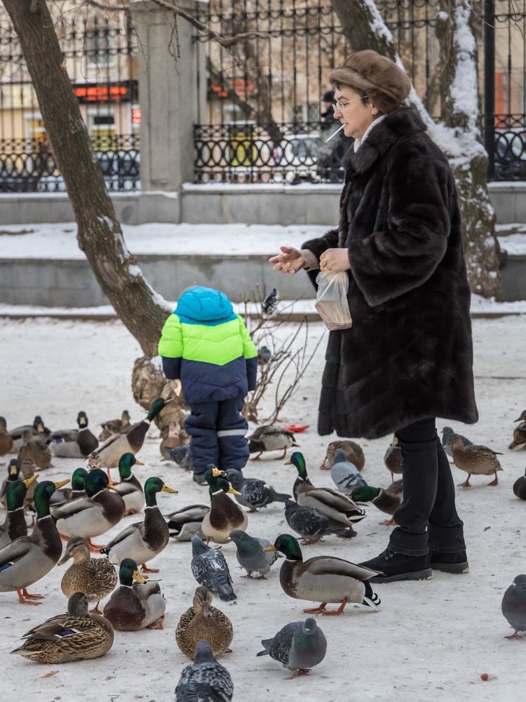 Photograph by Максим Фролов