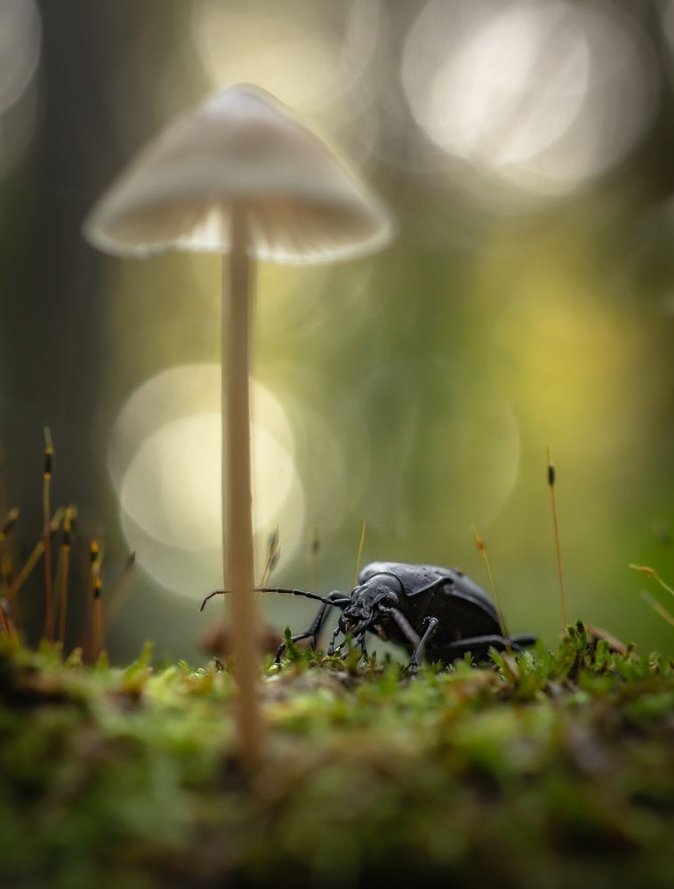 Photograph by Adrian Truchta