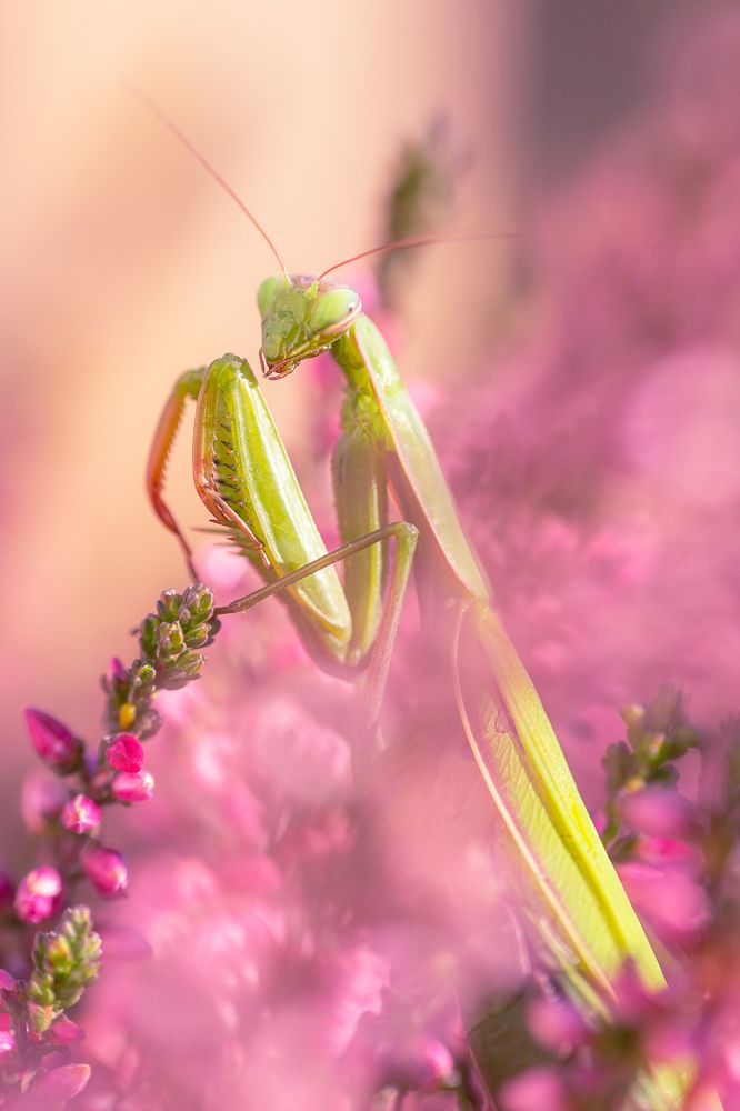 Photograph by Adrian Truchta