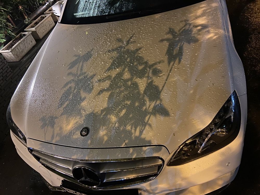 Photograph by Роман Крутов