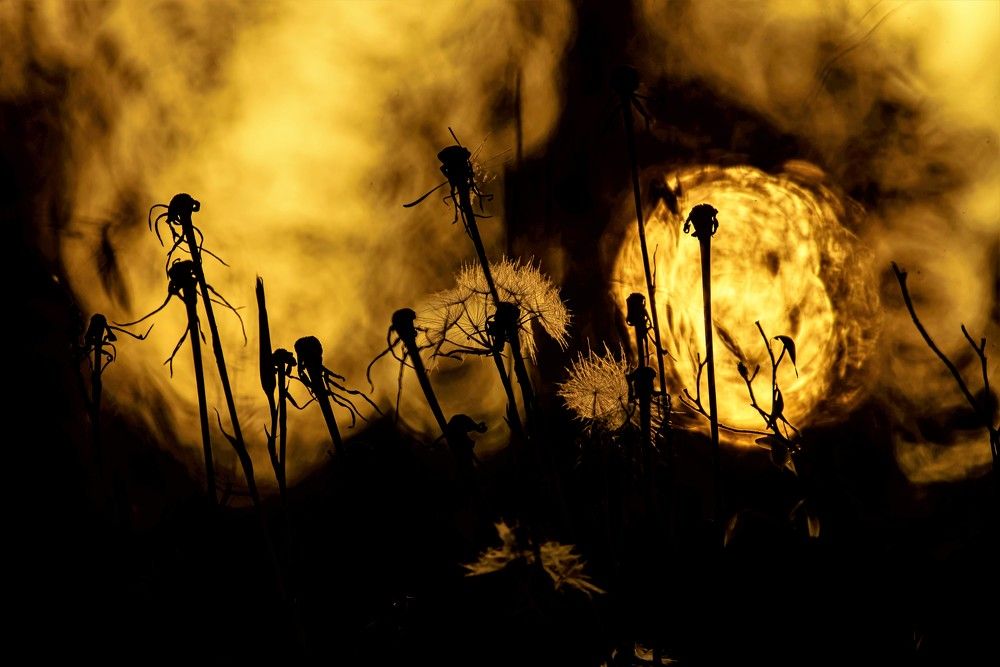 Photograph by Татьяна Колногоров