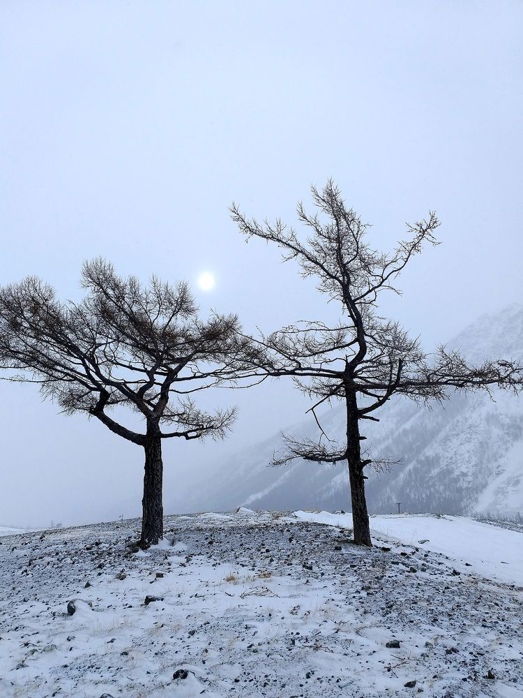 Photograph by Павел