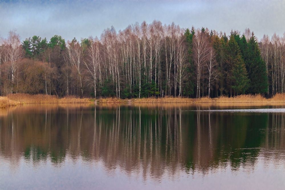 Лесное озеро