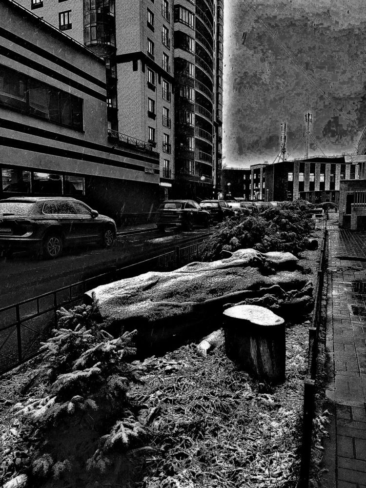 Первый снег...!