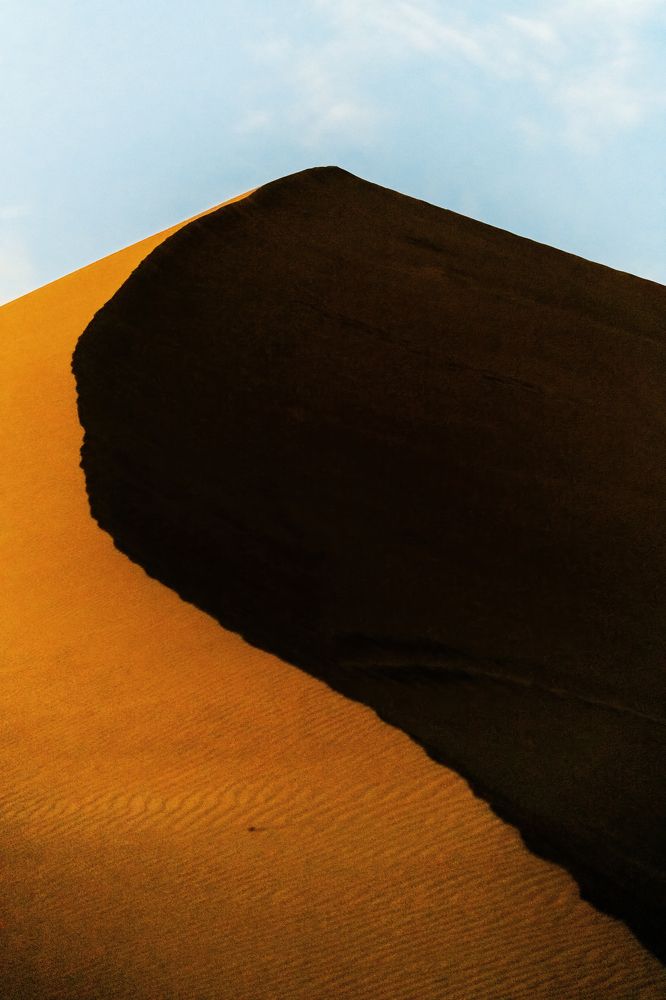 Фотография автора David Vargas