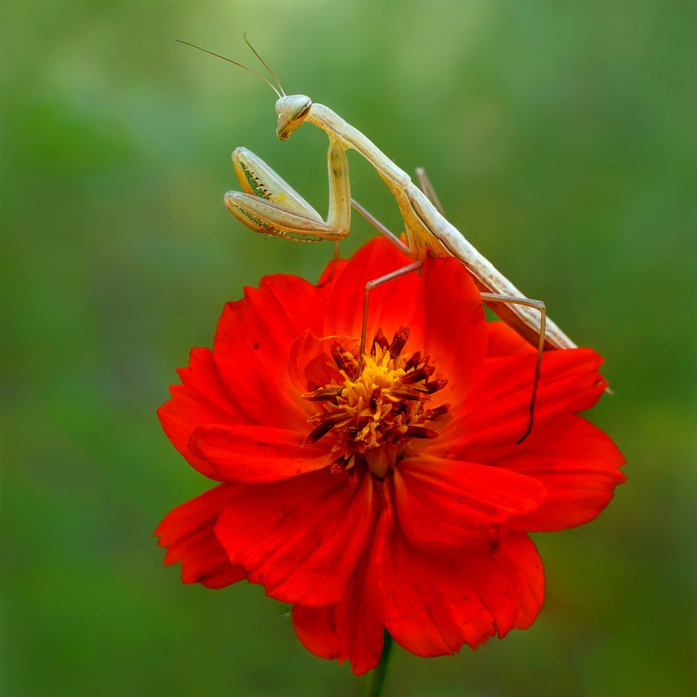 Photograph by Павел Колеснев