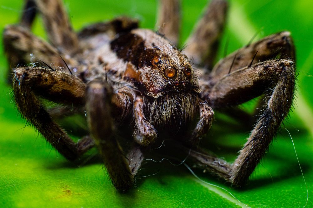 Photograph by Дмитрий Цикин