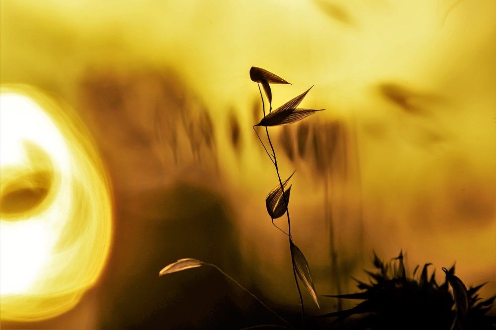 Photograph by Татьяна Колногоров