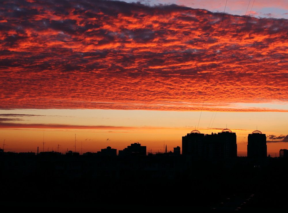 Photograph by Светлана