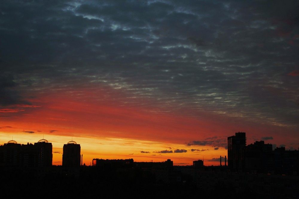 Photograph by Светлана