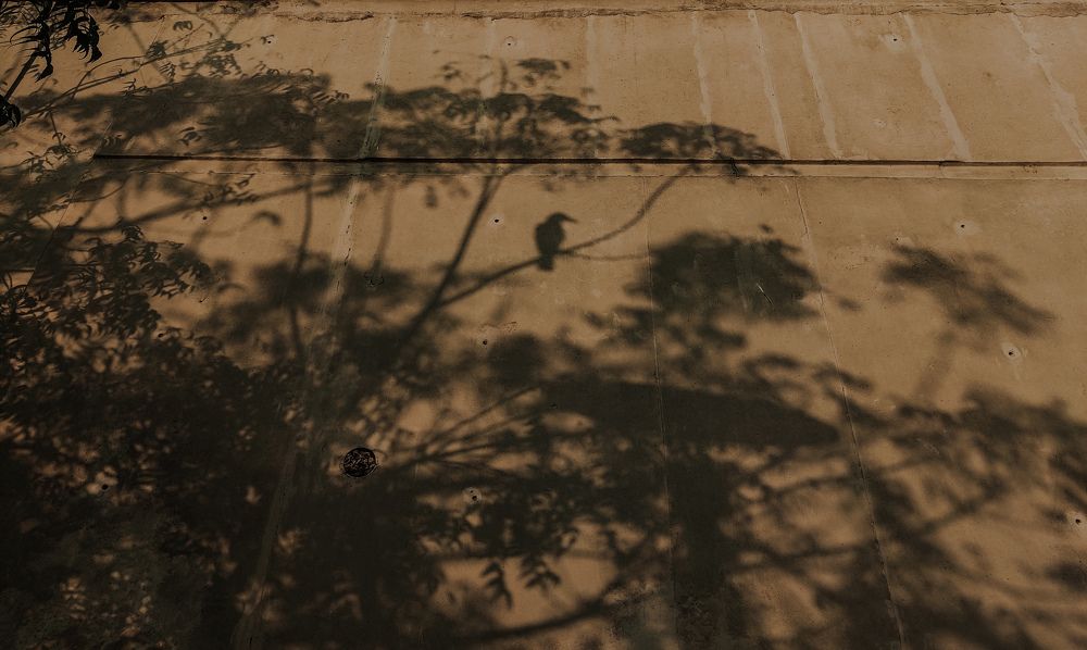 Photograph by Meet Kuntmal