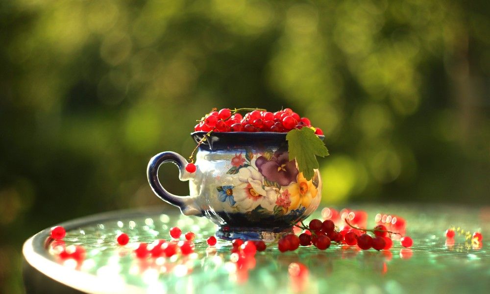 Photograph by Татьяна Александрова