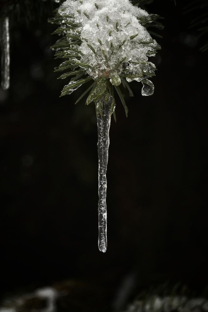 Photograph by Карина Слабкая