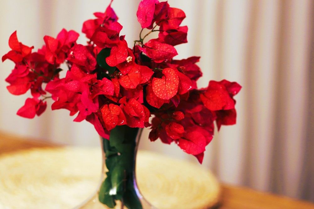 Photograph by Merav Zuberman Perkal