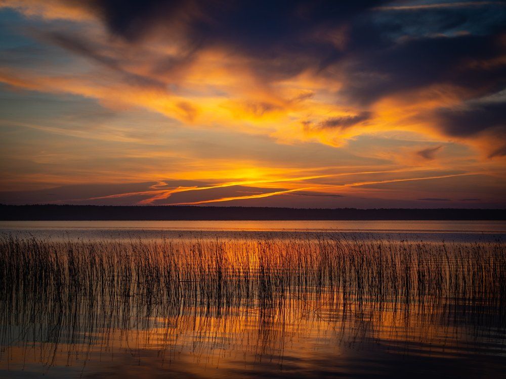 Фотография автора Андрей Шитиков