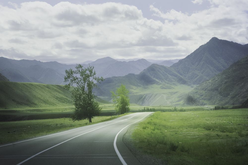 Фотография автора Ксения Зайцева