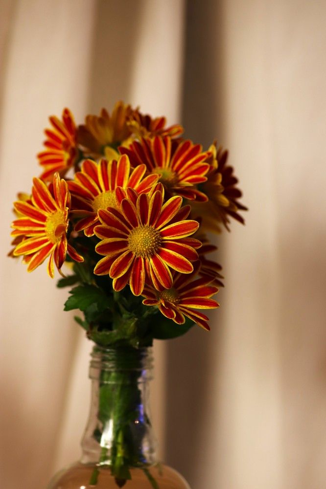 Photograph by Merav Zuberman Perkal