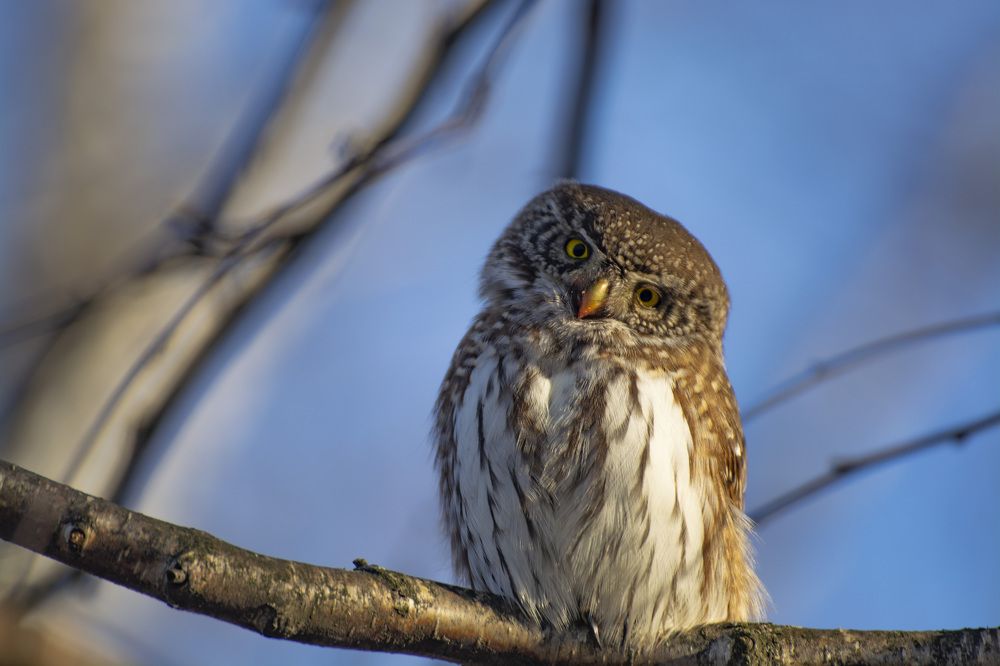 Photograph by Андрей Смирнов