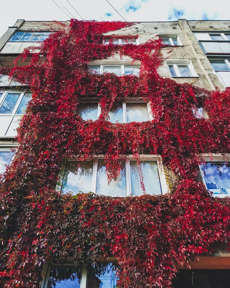 Фотография автора Андрей Жуков