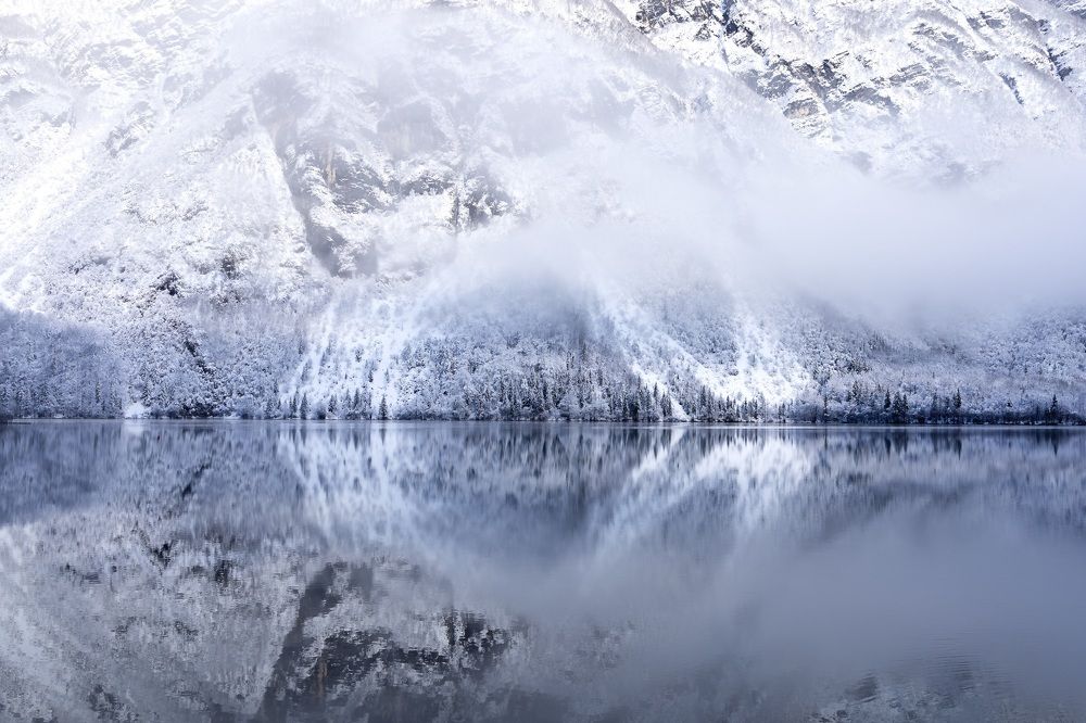 Фотография автора Анна Листишенко