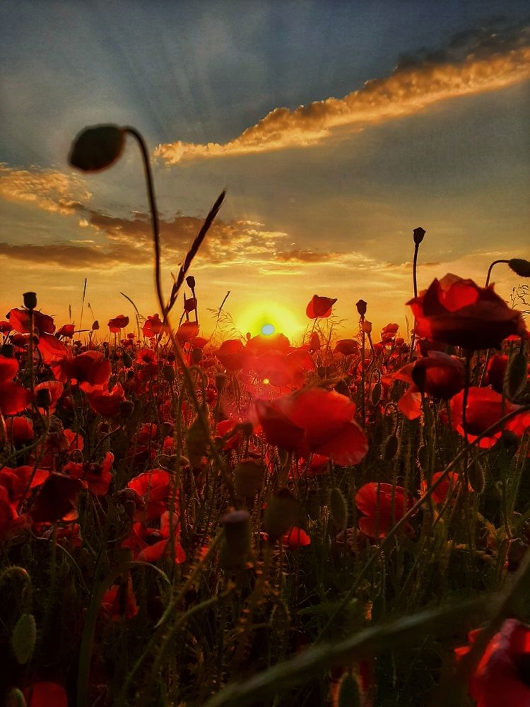Photograph by Татьяна Якшук