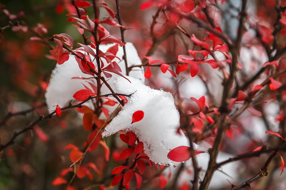 Photograph by Сергей Крышен