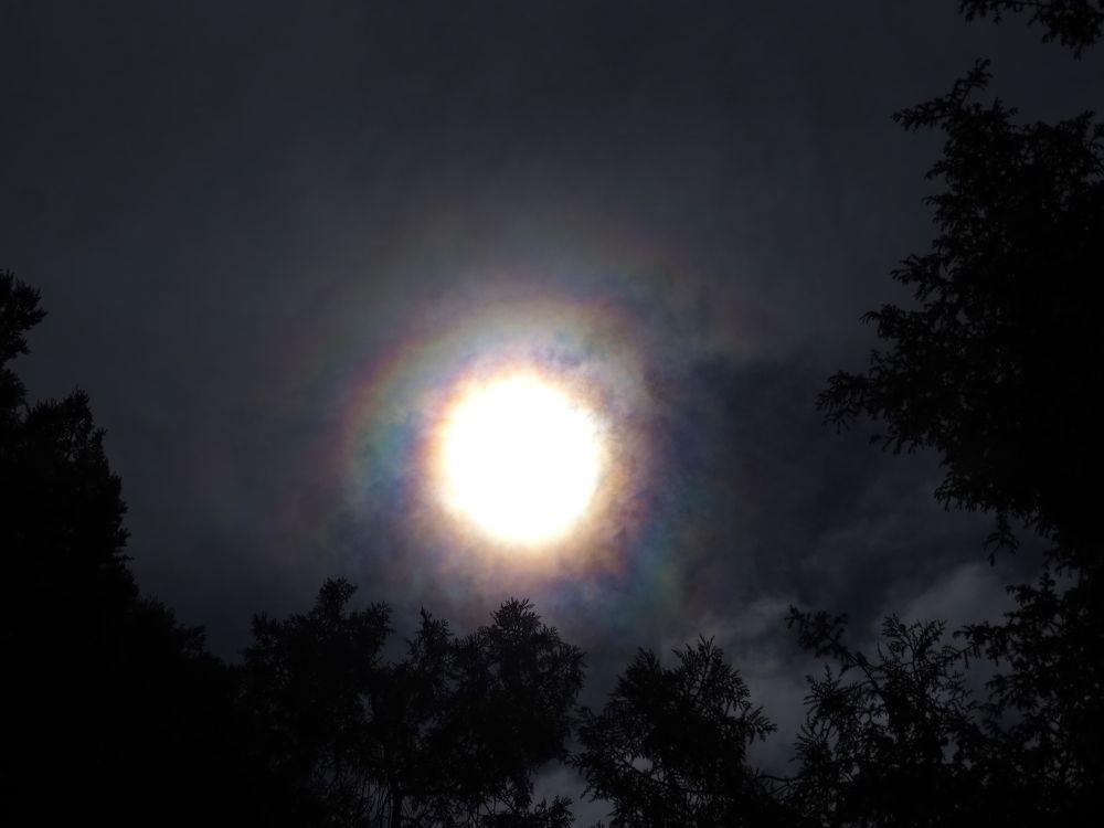 Photograph by Сергей Борисов