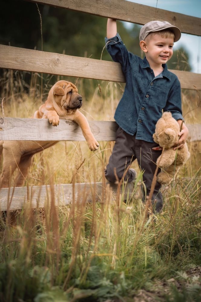 Photograph by Елена Раздвилова