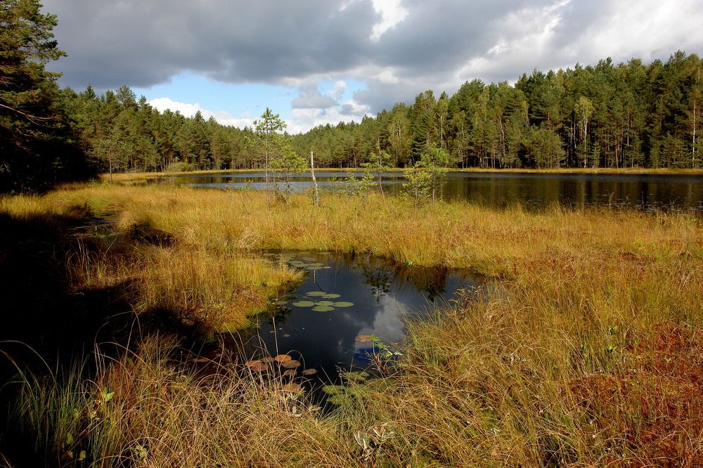 Photograph by Сергей Тарасюк
