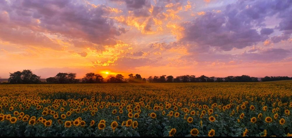 Photograph by Ольга