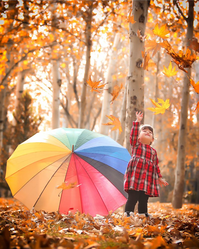 Photograph by behzad homayouninejad